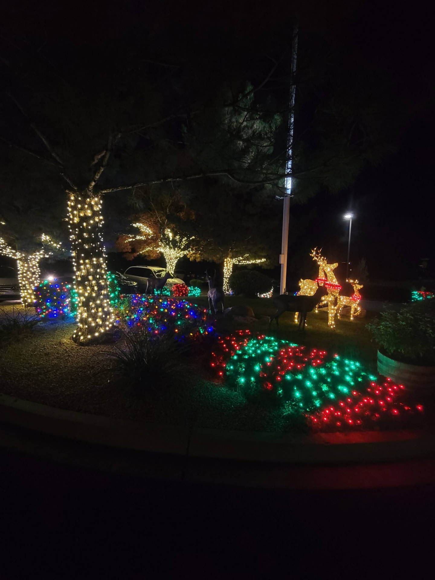 Home with lighted trees and roofline lighting
