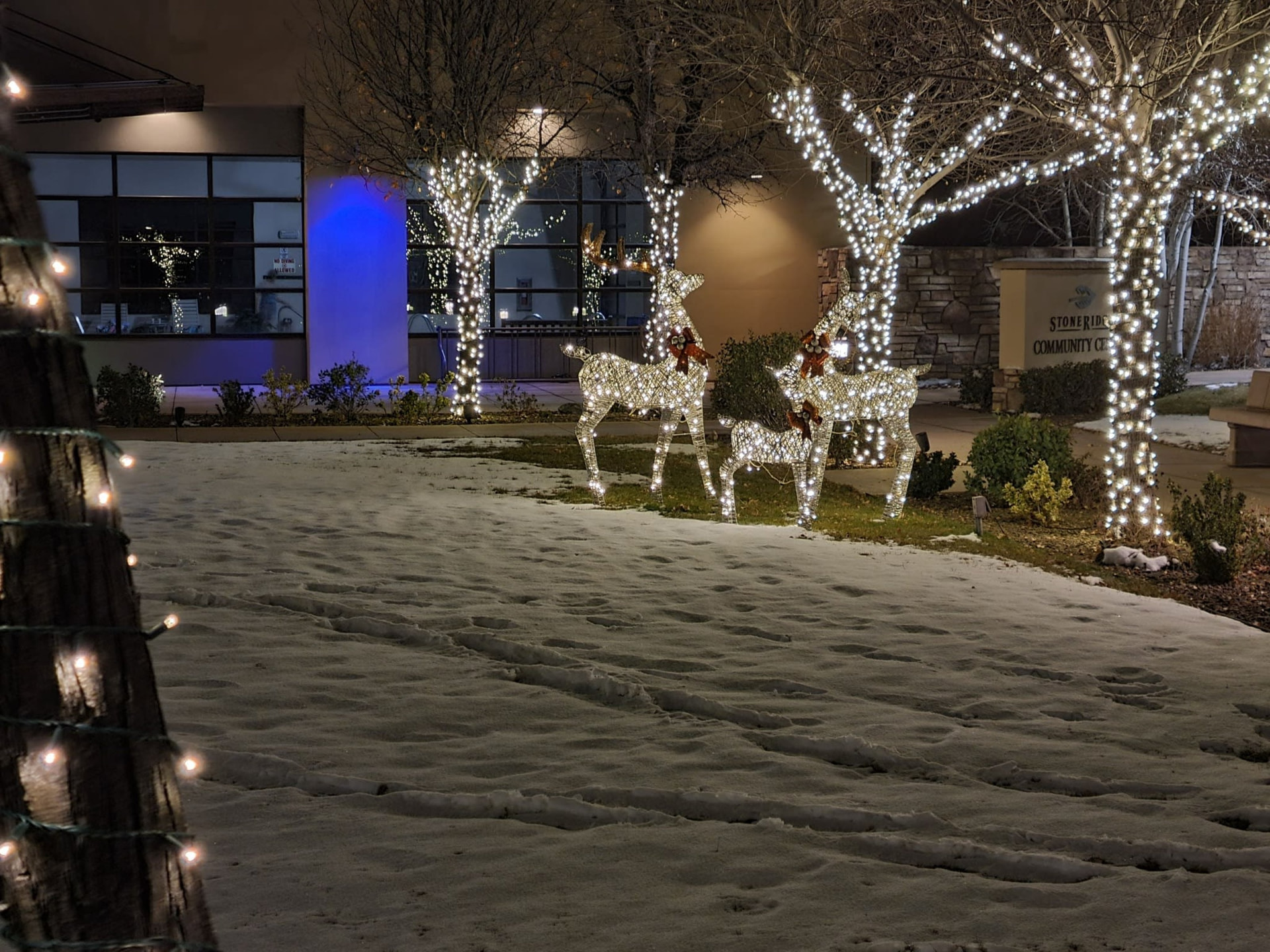 Community building with lighted reindeer in the snow